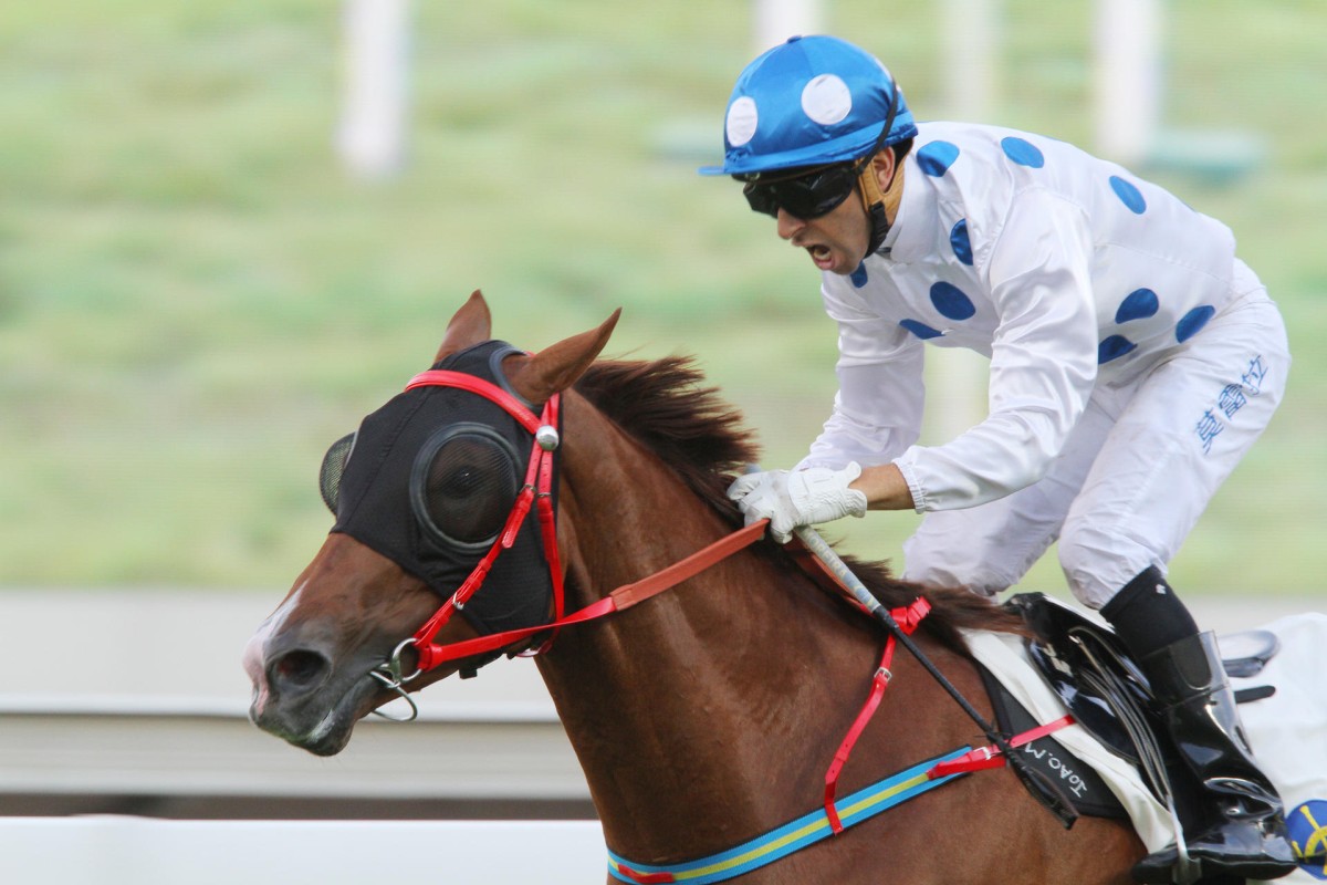 Contentment has risen from 52 to 101 in the official ratings with five wins throughout the season. John Size's galloper can add a sixth today in the Sha Tin Mile Trophy. Photos: Kenneth Chan