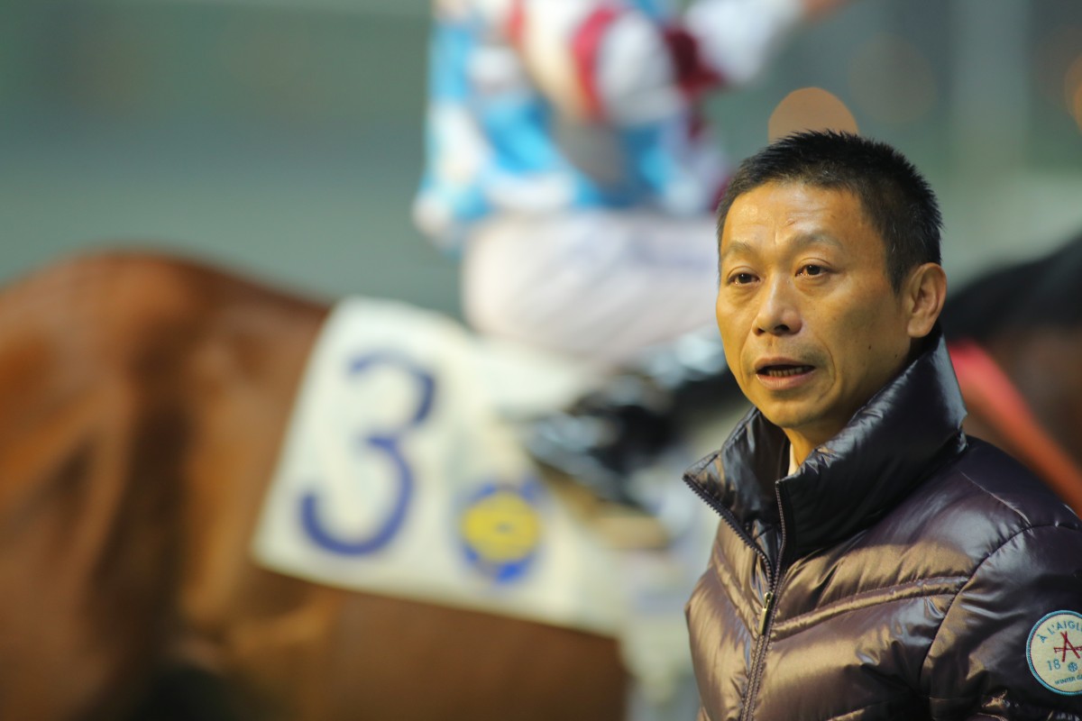 Danny Shum was involved in two arguments in his stables, with stewards fining and reprimanding the trainer. Photo: Kenneth Chan