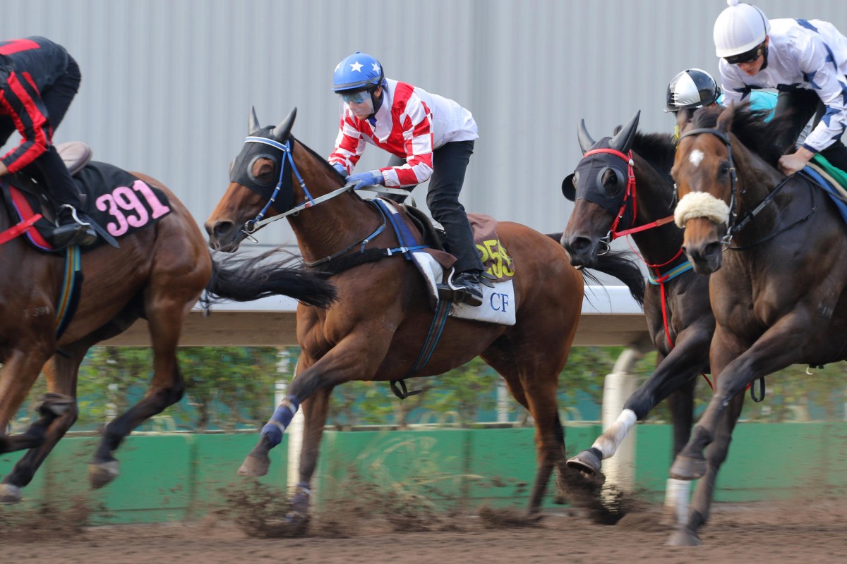 The Sprinters Stakes is no longer on the agenda for Lucky Nine. Photos: Kenneth Chan 