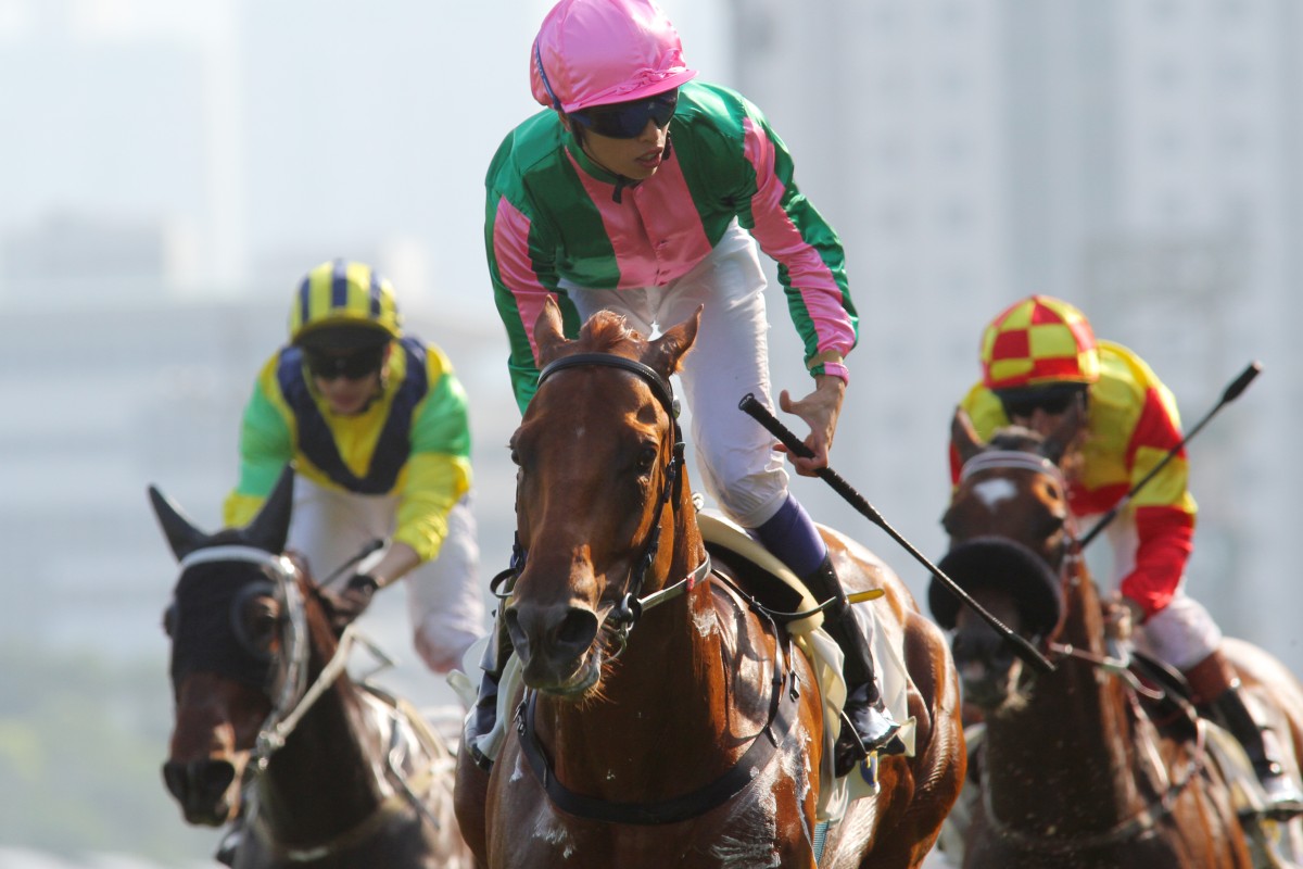 Bundle Of Joy won last year's National Day Cup and will be looking to repeat for trainer David Hall, though with 14 pounds more to carry. Photo: Kenneth Chan