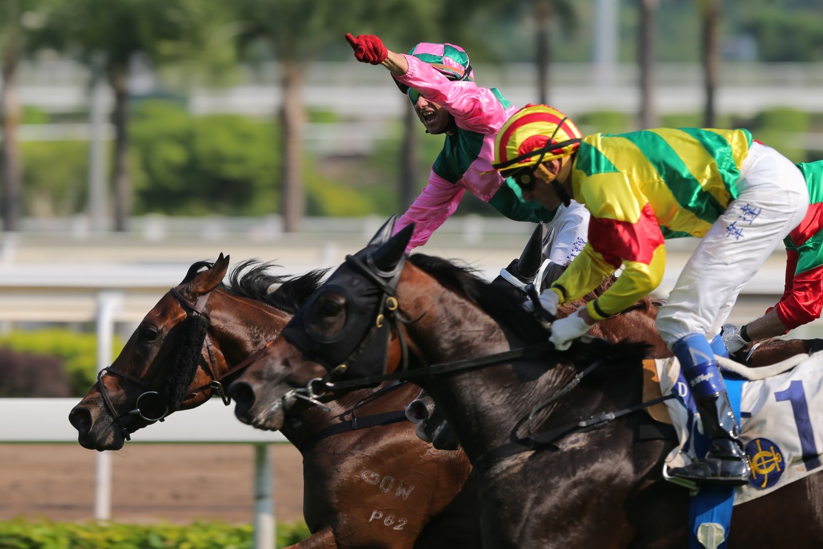 Imperial Gallantry just fails to grab Glacier Blue fresh. He can atone under Zac Purton on Sunday. Photo: Kenneth Chan