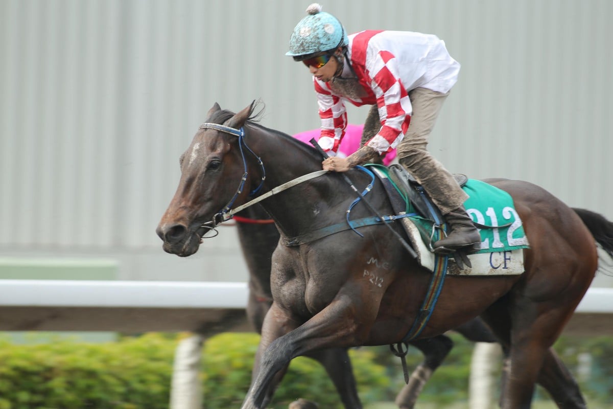 Lucky Double Eight has been in Hong Kong for two years but can finally break through. Photo: Kenneth Chan