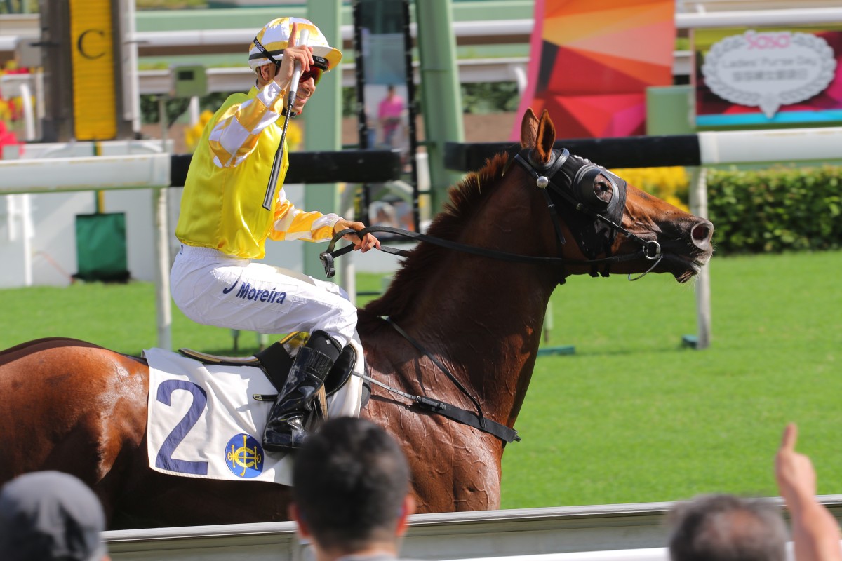 Punters may love Joao Moreira, but while his strike rate is impressive, backing every one of his mounts this season would send most to the poorhouse. Photo: Kenneth Chan