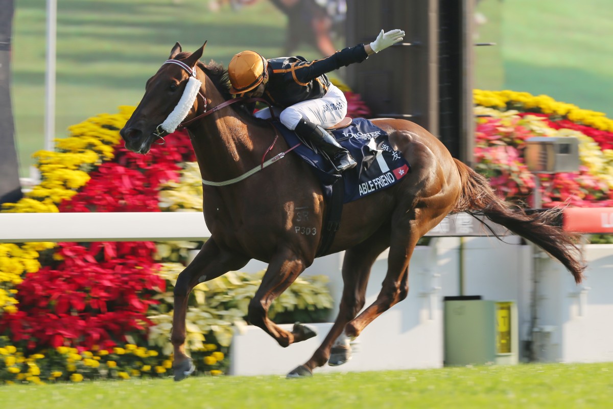 Able Friend was a dominant winner of the Hong Kong Mile last year. Can he go back-to-back? Photo: Kenneth Chan