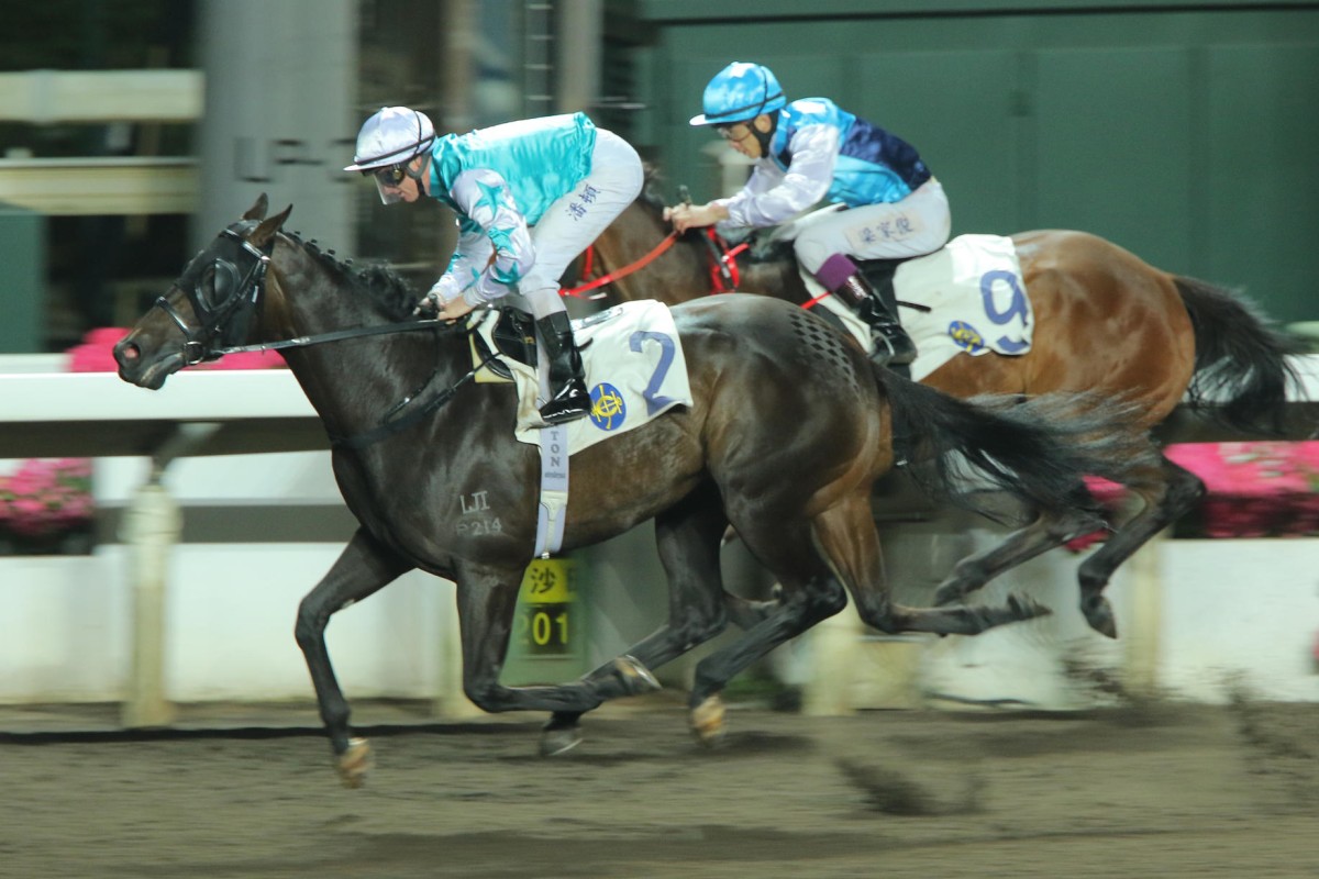 Hit The Bid records his one and only win under Zac Purton at a night all-weather meeting in March. Purton is in Japan to ride Gun Pit today, with Joao Moreira taking the mount. Photos: Kenneth Chan