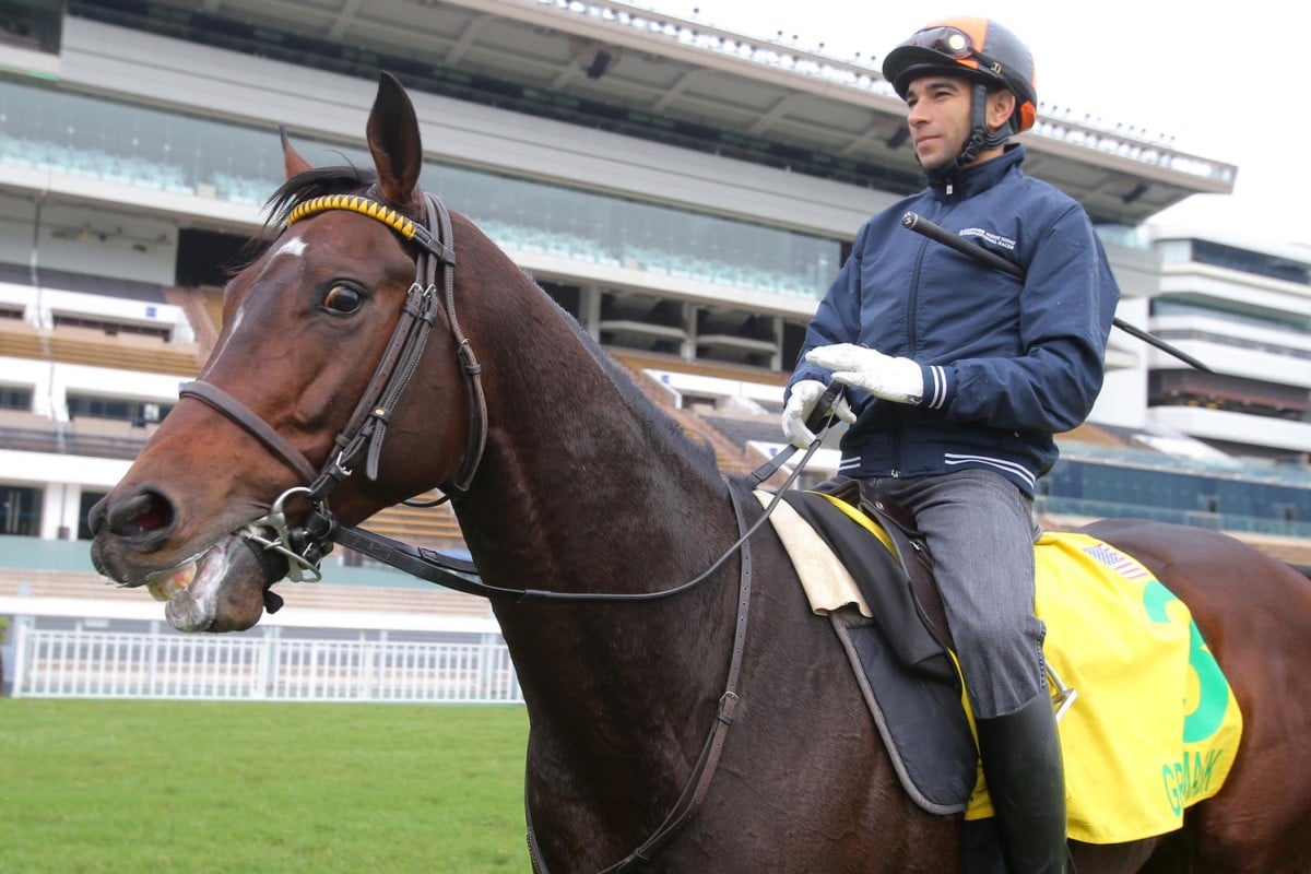 Joao Moreira takes Green Mask back to the quarantine stables after another turf gallop at Sha Tin. Photos: Kenneth Chan