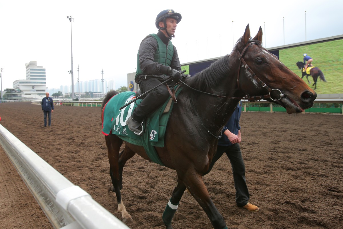 Dariyan can become the first three-year-old colt to win the Hong Kong Vase. Photo: Kenneth Chan