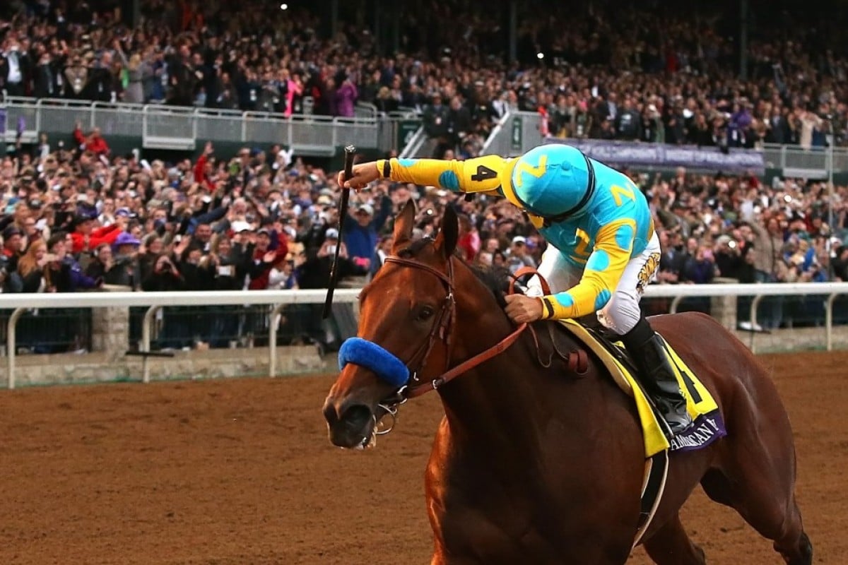 American Pharoah's "Grand Slam" victory - the Triple Crown and the Breeders' Cup Classic - was one of the biggest moments in world racing in 2015. Photo: AFP