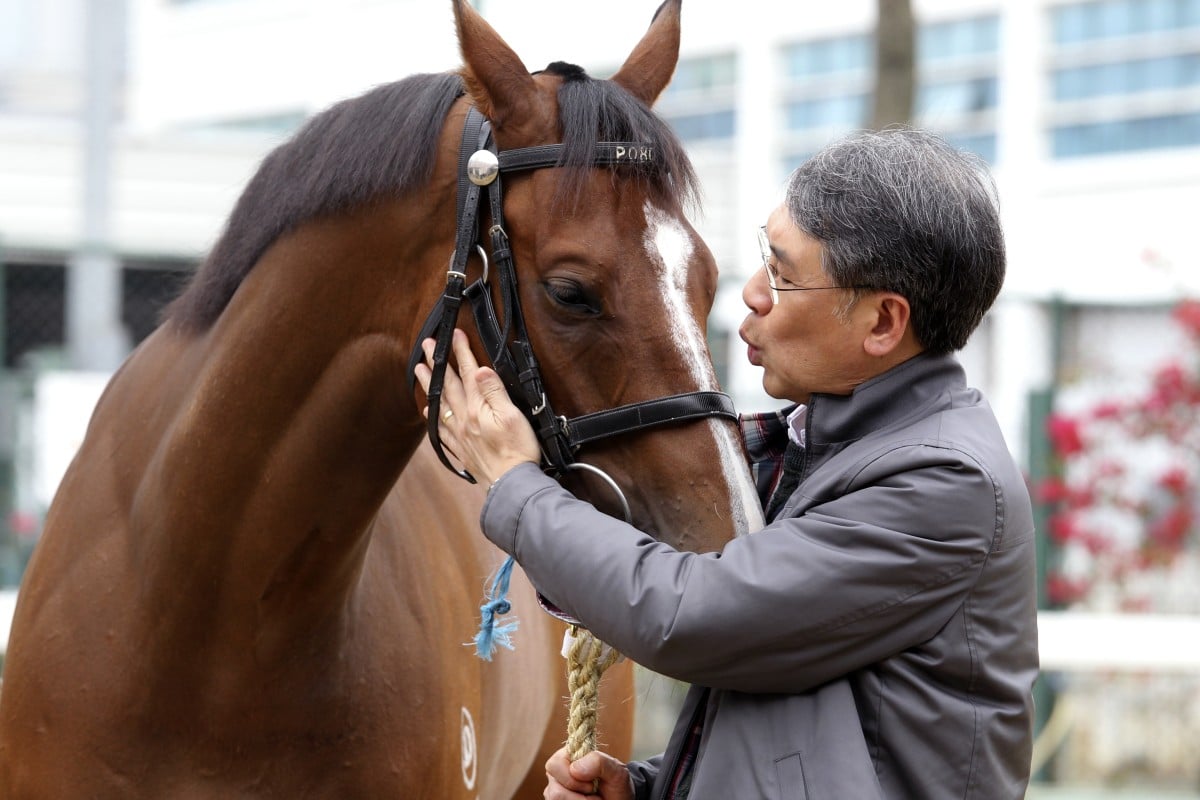 Dr Gene Tsoi with his horse Mr Gnocchi, who has the Chinese name 好靚仔 (Ho Leng Zhai) - named after his dog. Photo: SCMP, Kenneth Chan