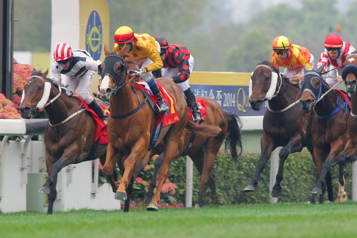 Gold-Fun wins the Queen's Silver Jubilee Cup two years ago, defeating Dan Excel. Now, as a reborn sprinter, he steps up to his pet trip again and looks hard to beat. Photos: Kenneth Chan