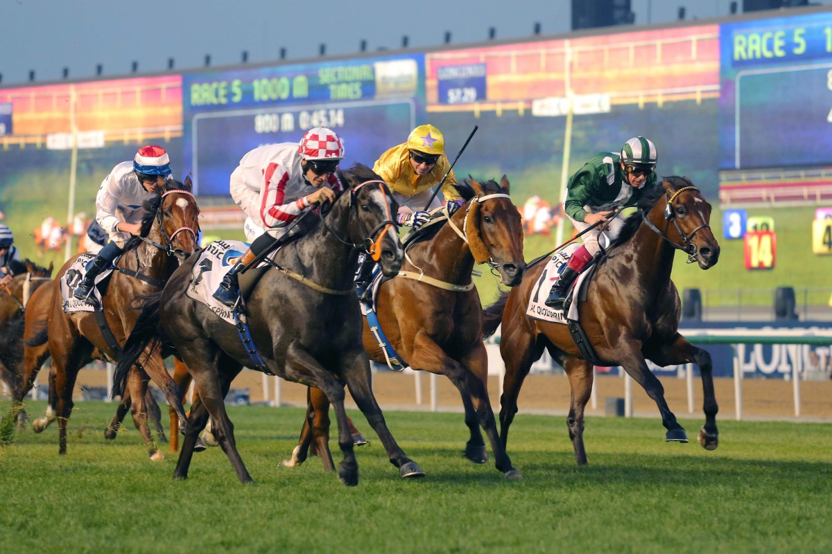 Sole Power went off at a crazy price of 14.3 for a $1 unit in Hong Kong last year, when winning the Al Quoz Sprint. Photo: Kenneth Chan