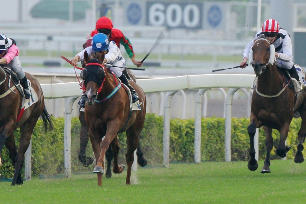 Contentment wins the Oriental Watch Sha Tin Trophy in October. Photos: Kenneth Chan