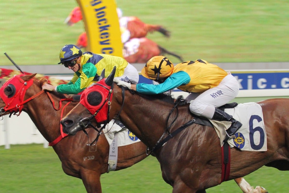 Diamond Dragon on the outside lunges at Triumphant Jewel to just win in the last stride, giving Francis Lui his 500th win as a trainer. Photo: Kenneth Chan