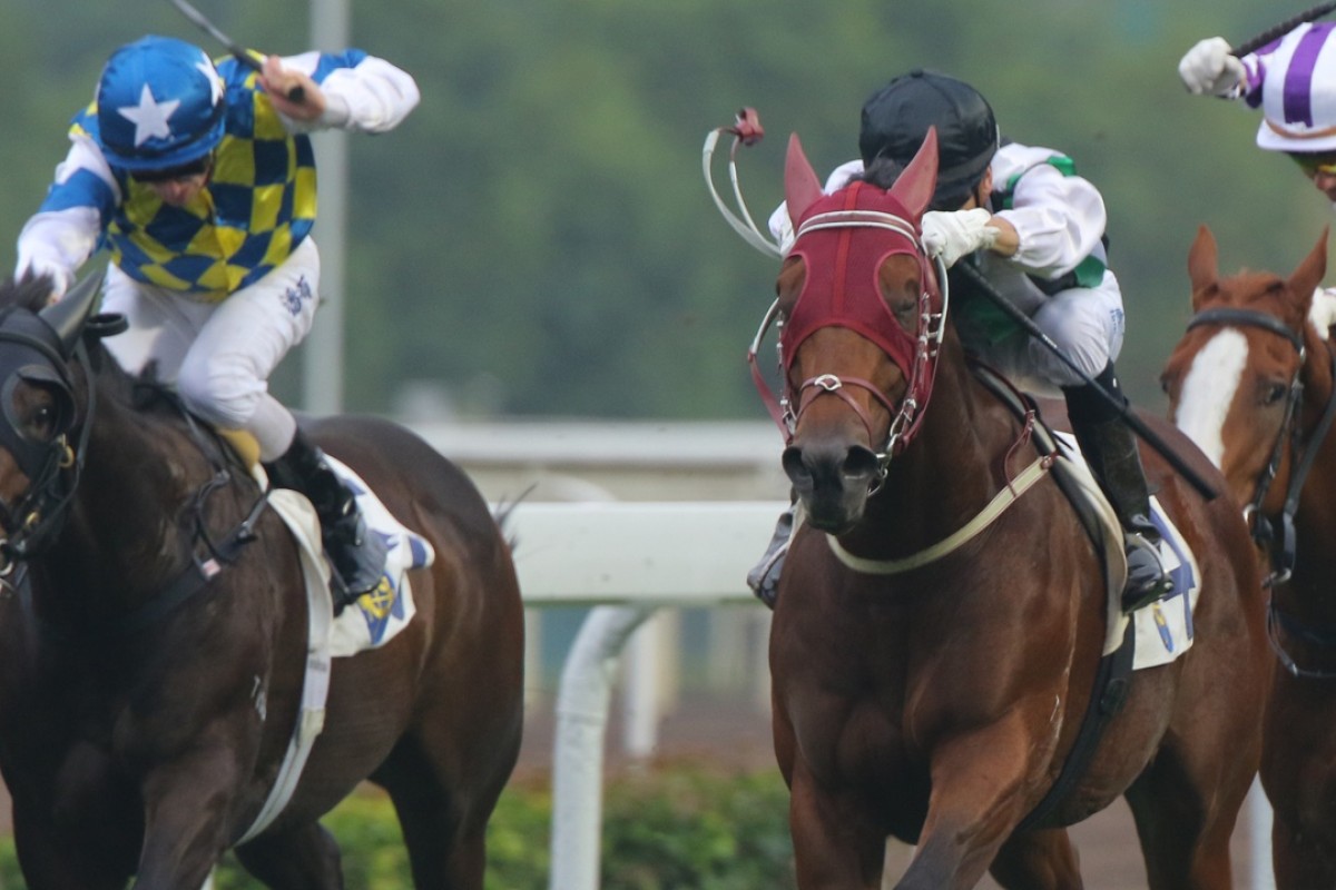 People’s Knight (Joao Moreira, black cap) looked top class with his Griffin Trophy win, with General Of Patch (Zac Purton, blue cap) also catching the eye. Photo: Kenneth Chan