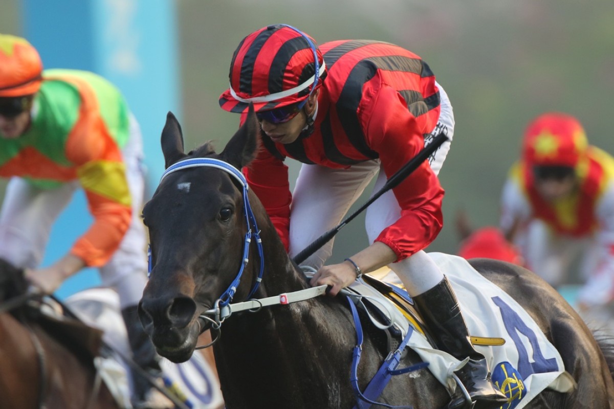Vincent Ho steers Gonna Run, fifth in the French Derby to The Grey Gatsby in 2014, to his first Hong Kong win in Class Three. Photo: Kenneth Chan