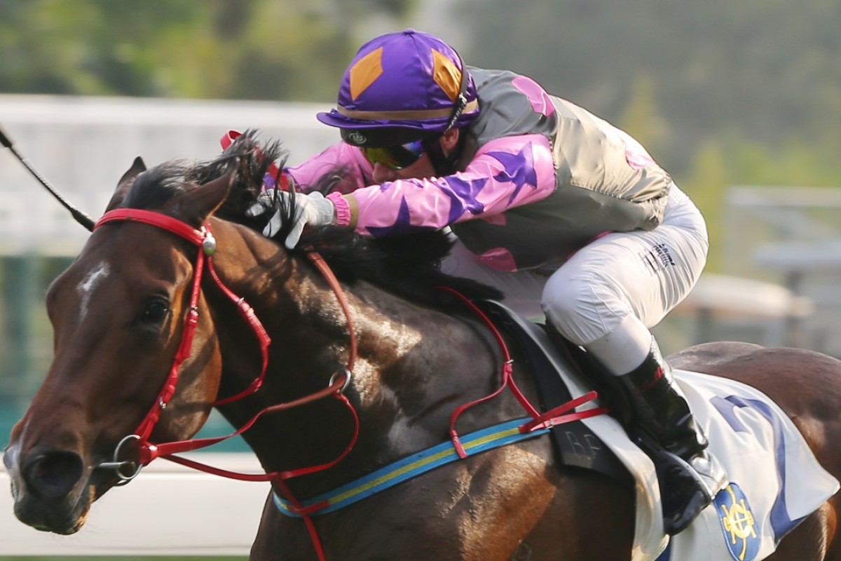 Amazing Kids (Brett Prebble) was an easy winner of the feature at Sha Tin on Saturday, stamping himself as a sprinter on the rise. Photo: Kenneth Chan