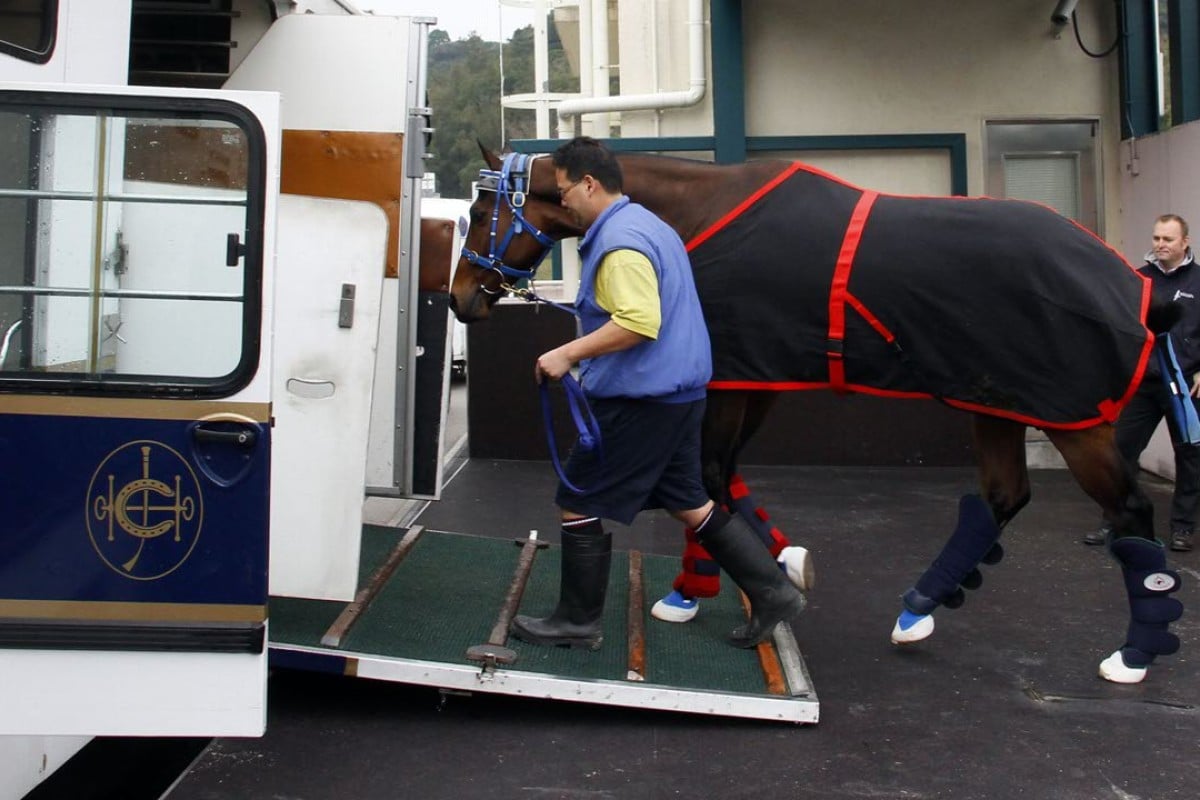 Gun Pit departed Hong Kong for Dubai on Thursday morning, with Caspar Fownes’ galloper hoping for a berth in the world’s richest race, the Dubai World Cup. Photo: Hong Kong Jockey Club