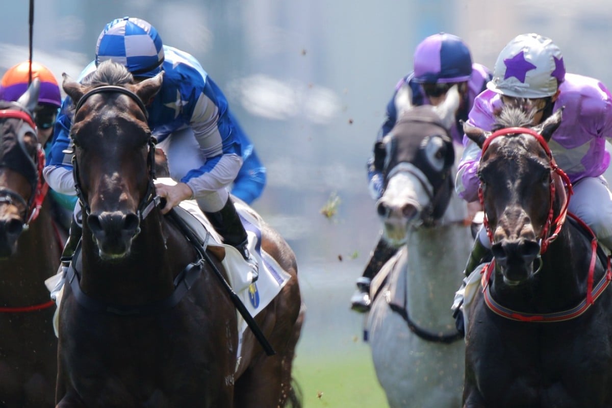 Washington Heights brings his best Australian form to win at his Hong Kong debut. Photo: Kenneth Chan