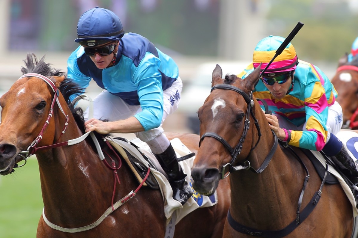 Not Listenin’tome gets home ahead of his Al Quoz Sprint assignment, just getting the better of Golden Shaheen-bound Super Jockey. Photo: Kenneth Chan