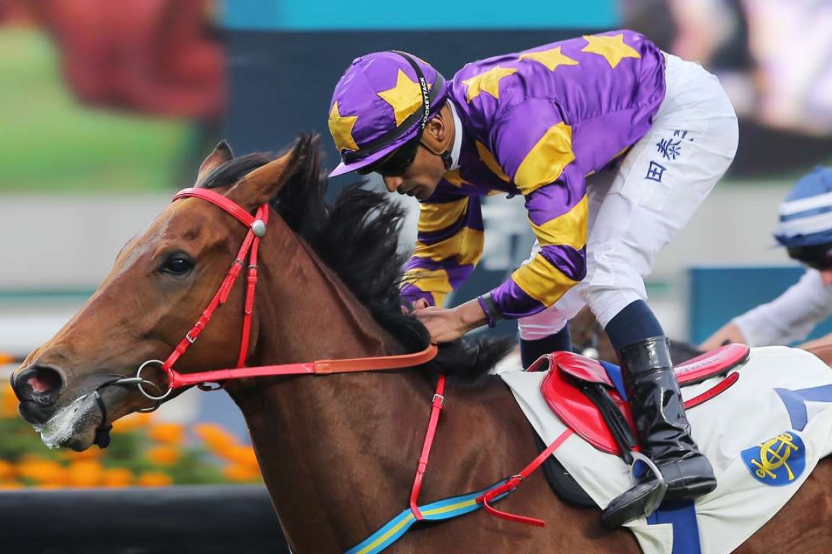Eastern Express began the season as a maiden, but has worked his way through the grades to emerge as a legitimate Hong Kong Derby contender. Photo: Kenneth Chan