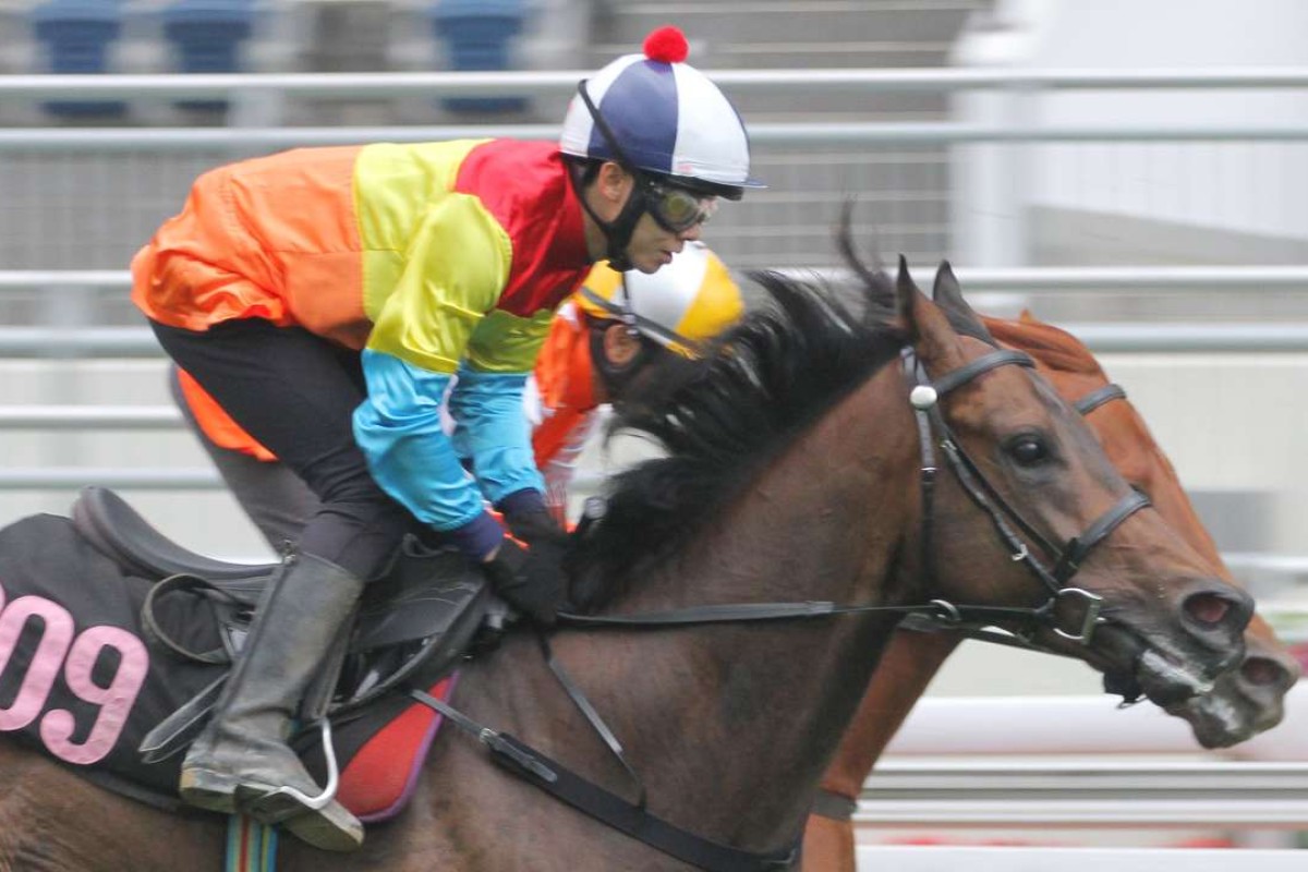 Travel Comforts gained a reputation as a speedy squib but his future looks to lie on the dirt. Photo: Kenneth Chan