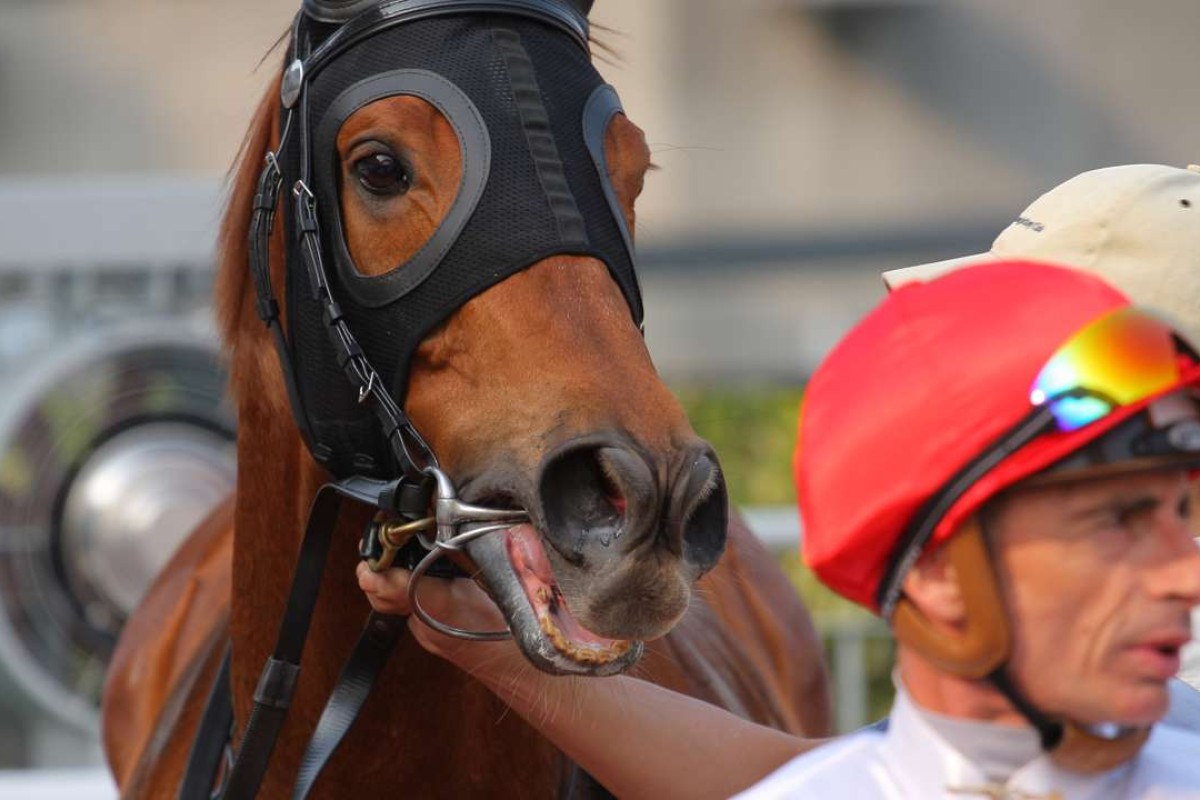 Gerald Mosse won on David Hall-trained Berlini, but also incurred a careless riding ban. Photo: Kenneth Chan