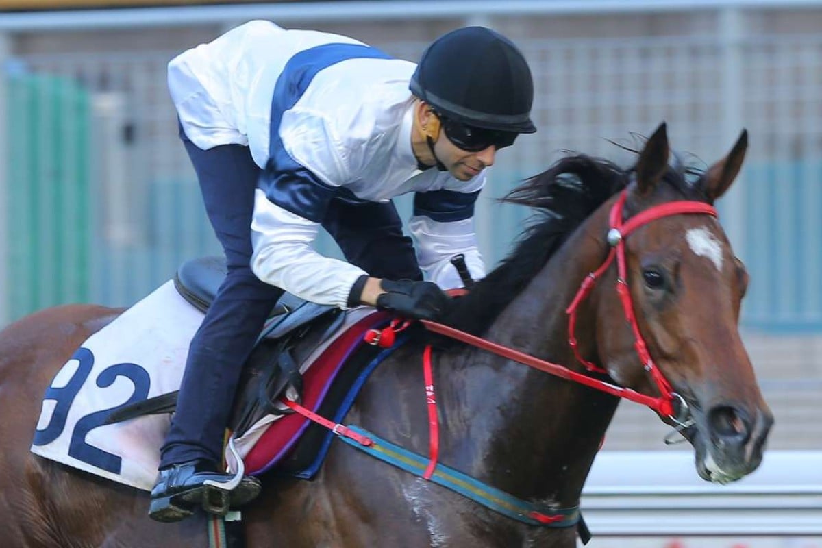 House Of Fun looks ready to make a winning debut at Happy Valley. Photo: Kenneth Chan
