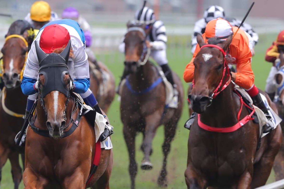 Adventurer and Love Shock, one-two over the straight 1,000m on Saturday, look horses to follow heading forward. Photo: Kenneth Chan