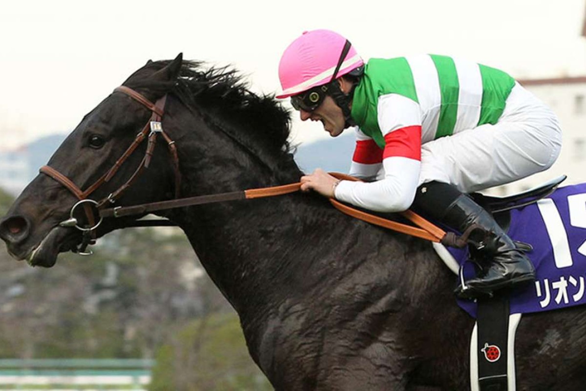 Leontes wins the Asahi Hai Futurity on December 20, 2015. Photo: Japan Racing Association