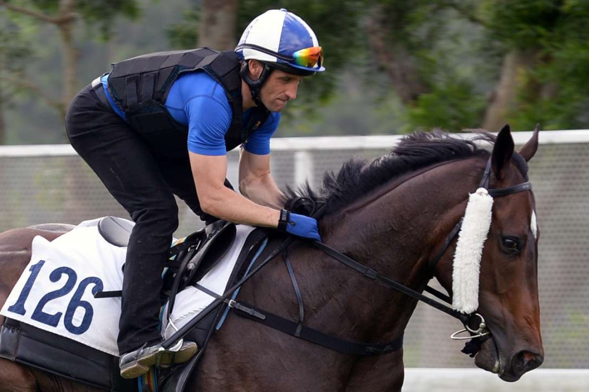 Neil Callan takes Green Card for a gallop down the riverside at Sha Tin on Thursday morning. Photo: Kenneth Chan