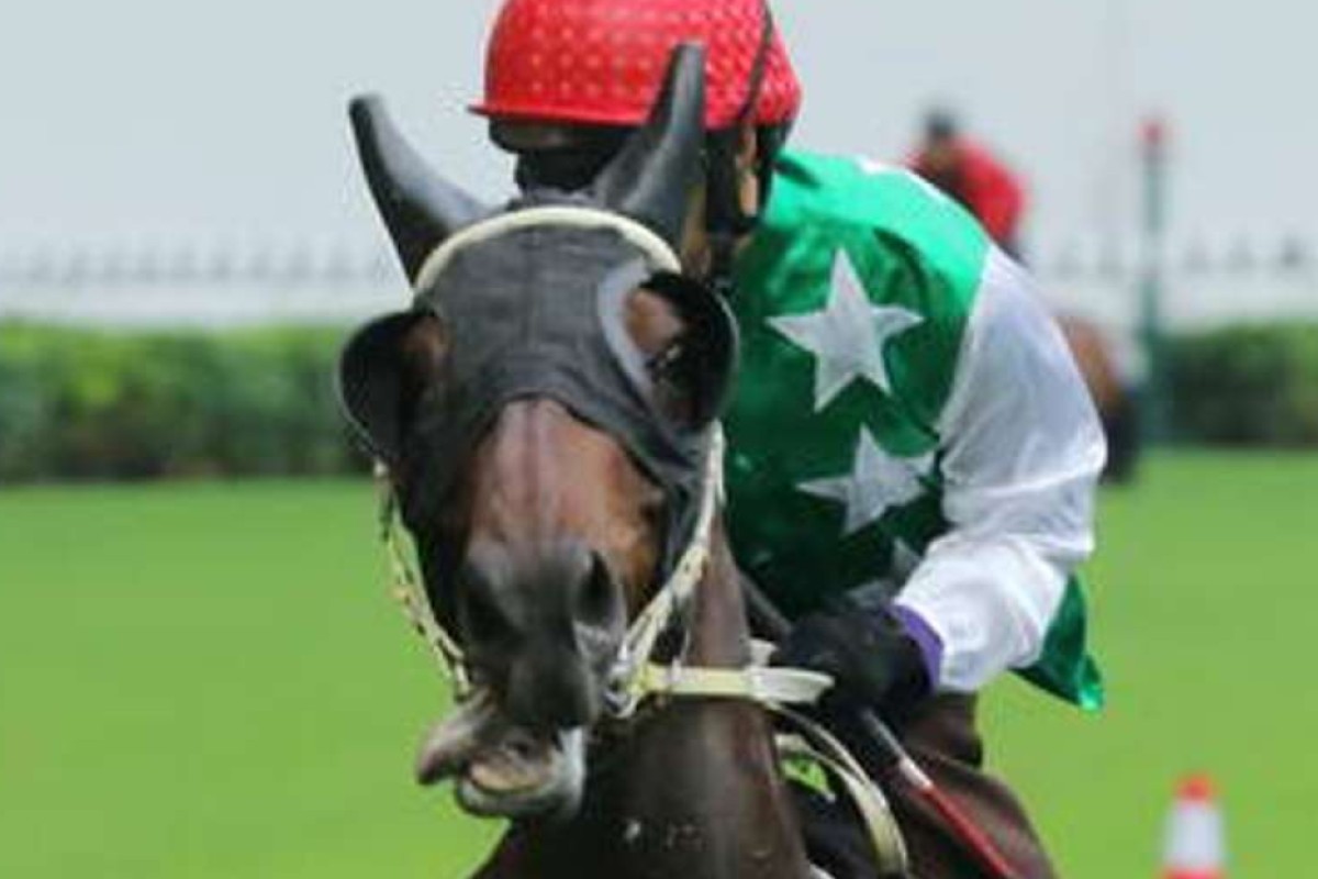 Pakistan Star went viral after his stunning last-to-first debut in July. Photo: Kenneth Chan