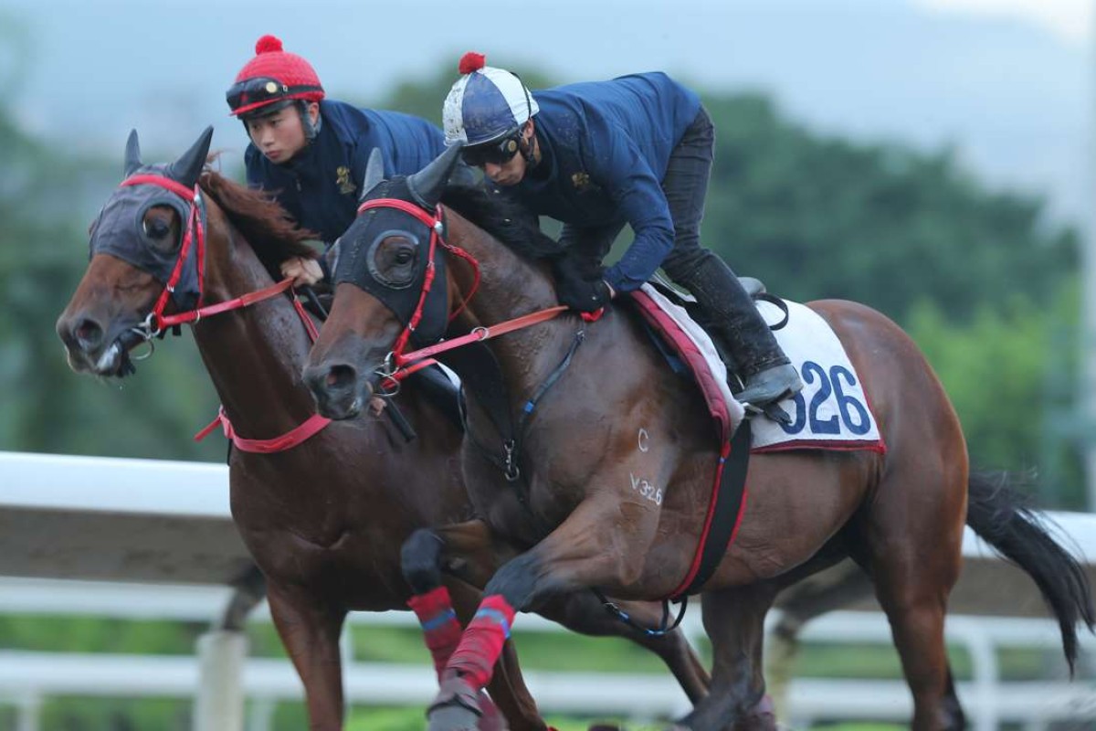 Gorgeous Again (outside), seen here ridden by Ben So Tik-hung at trackwork, should improve from his debut run. Photos: Kenneth Chan