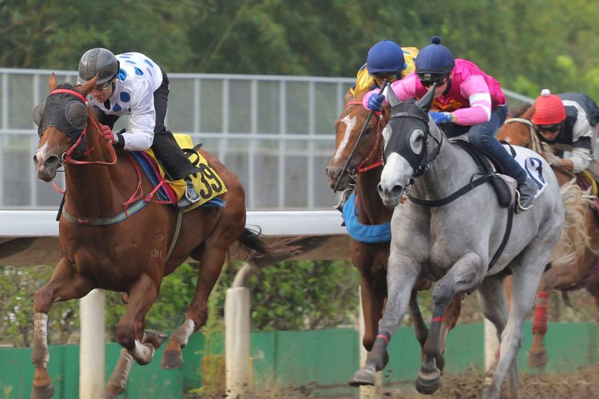 Brett Prebble gives Contentment (left) a hit-out at the trials on Friday. Photos: Kenneth Chan