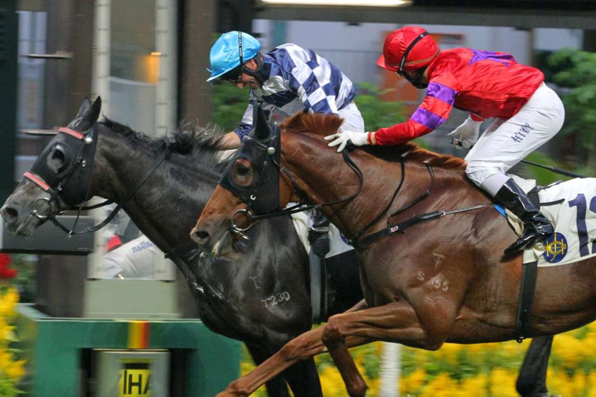 Neil Callan drives Packing Dragon to victory at Happy Valley on Sunday. Photos: Kenneth Chan