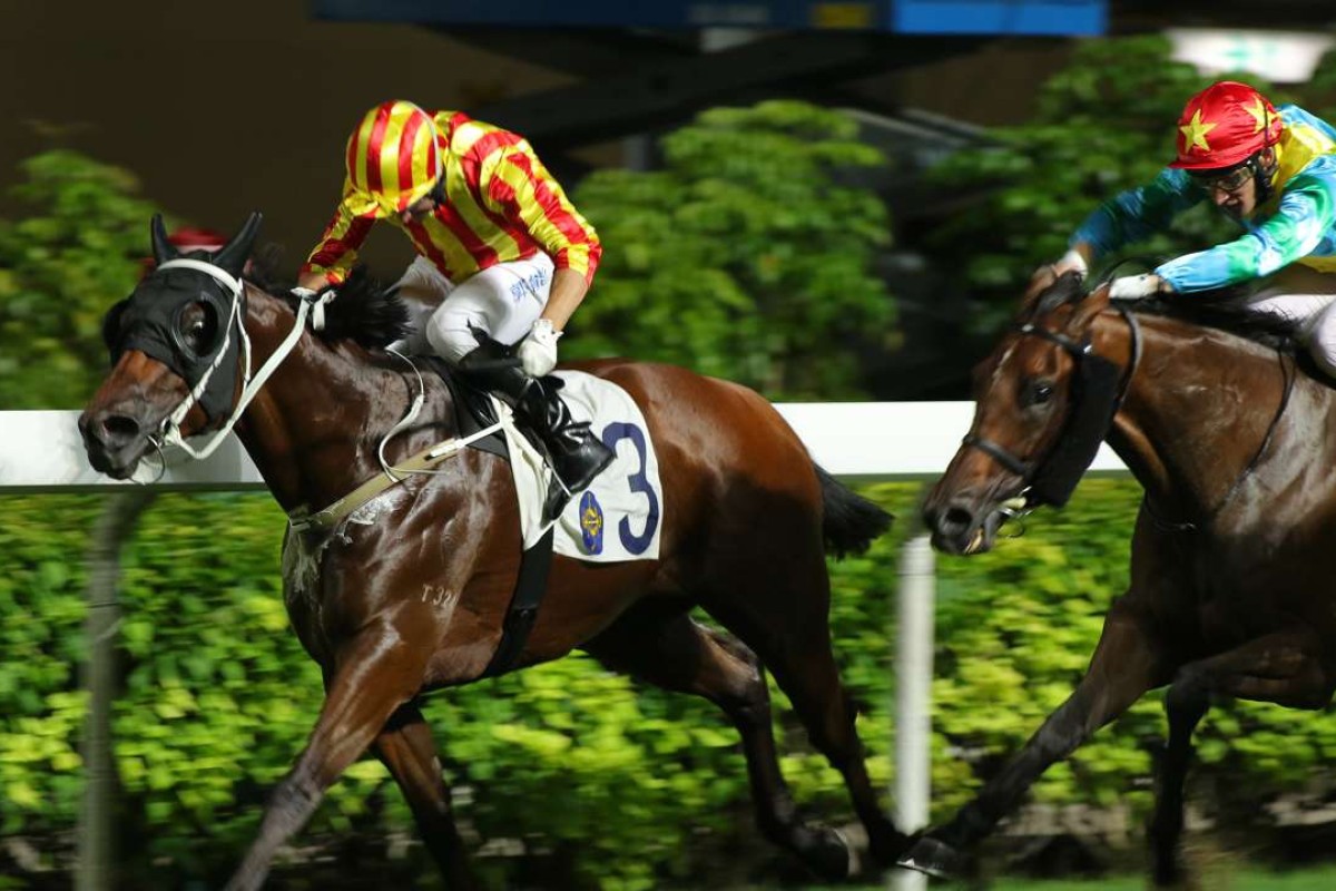 Circuit King wins at Happy Valley in July. Photos: Kenneth Chan