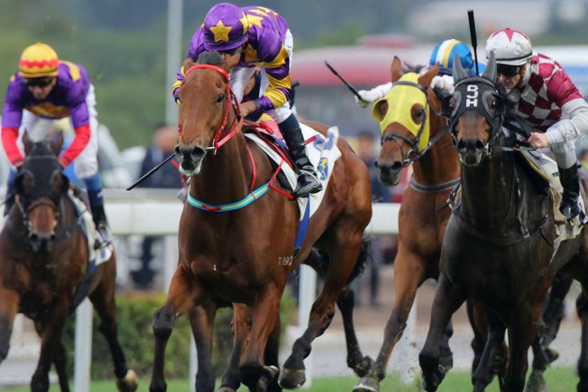 Eastern Express is the one to beat in the Group Three Sa Sa Ladies’ Purse. Photos: Kenneth Chan