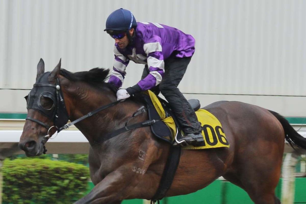 Neil Callan rides Strathmore in a recent barrier trial. Photos: Kenneth Chan