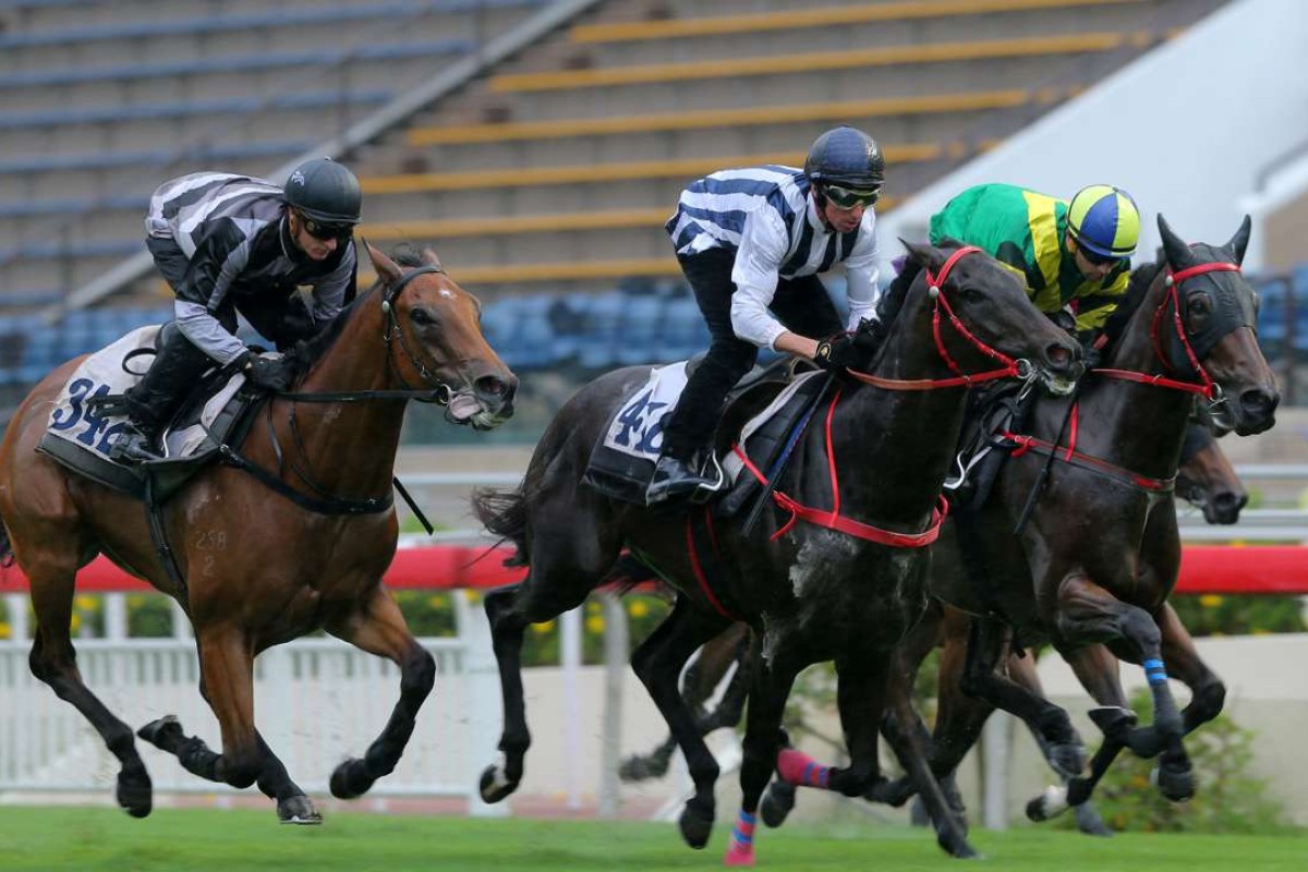 Seasons Bloom (centre) wins a recent barrier trial. Photo: Kenneth Chan