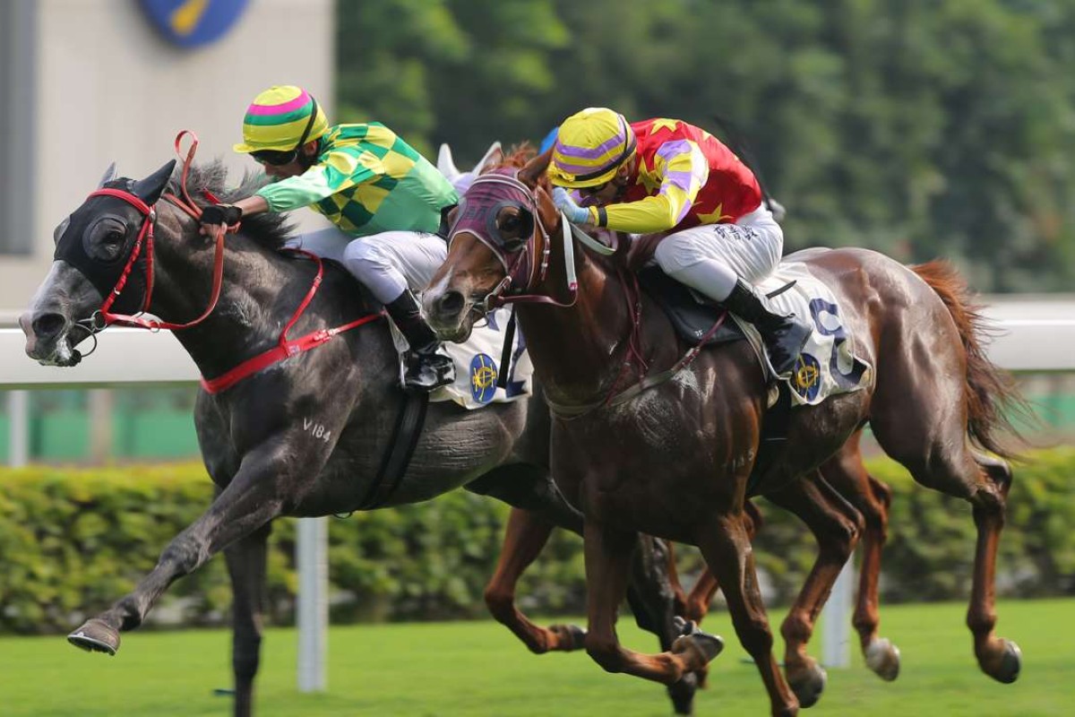 Green Dispatch (left) wins at Sha Tin last start. Photo: Kenneth Chan