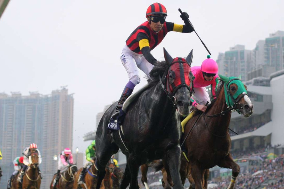 A Shin Hikari wins the 2015 Hong Kong Cup. Photos: Kenneth Chan