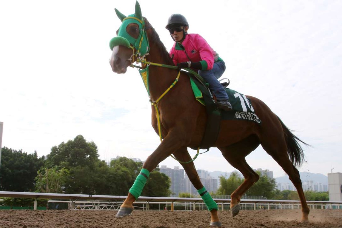 Nuovo Record gallops on the all-weather track at Sha Tin on Tuesday morning. Photos: Kenneth Chan