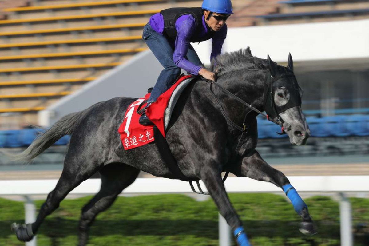 A Shin Hikari stretches out in a sharp workout at Sha Tin on Thursday morning. Photos: Kenneth Chan