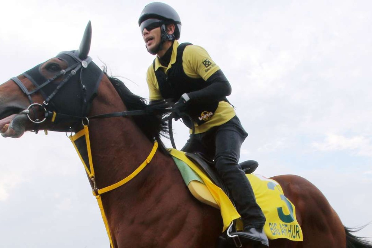 Big Arthur struts around at trackwork. Photos: Kenneth Chan