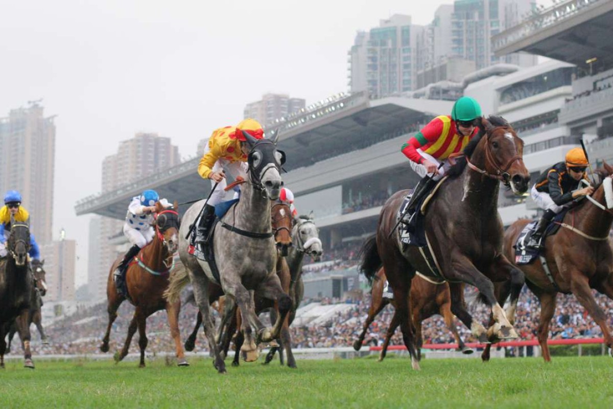 Maurice wins the 2015 Hong Kong Mile. Photo: Kenneth Chan