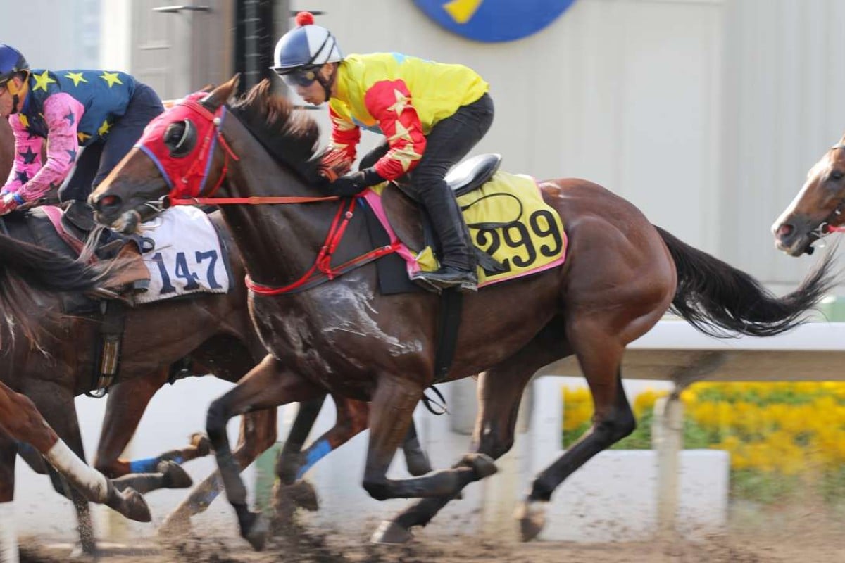 Happy Journey strides out in a barrier trial. Photos: Kenneth Chan