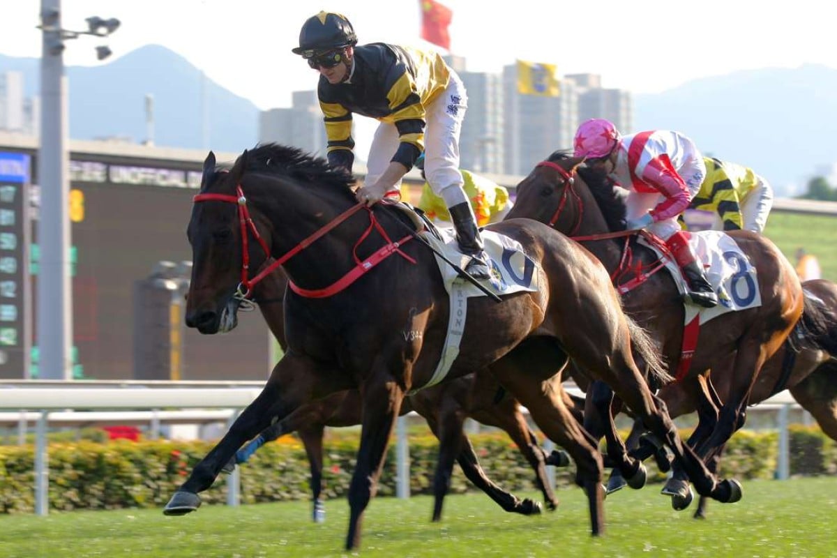 Zac Purton guides D B Pin to victory last start. Photos: Kenneth Chan