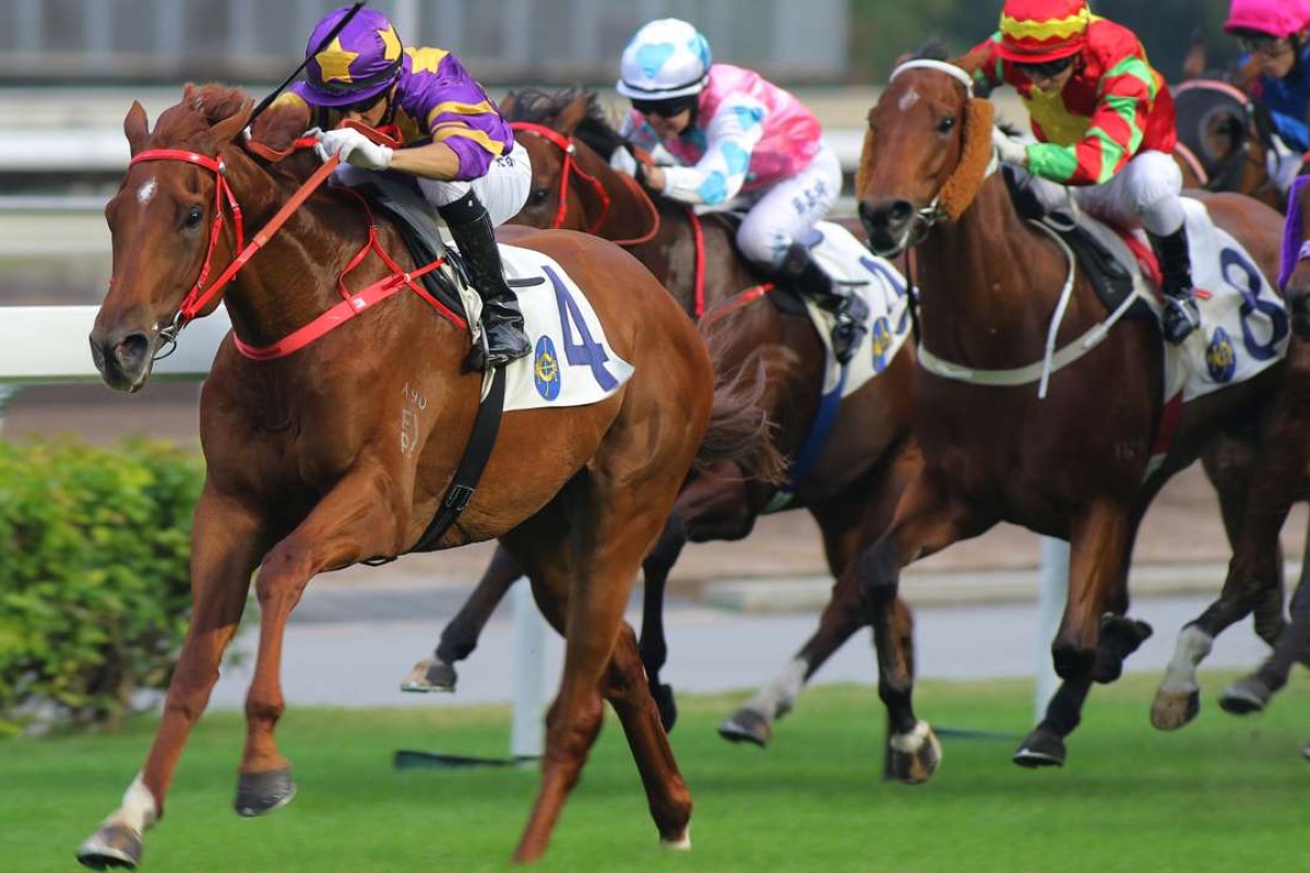 Joao Moreira guides Western Express to victory at Sha Tin in November. Photos: Kenneth Chan