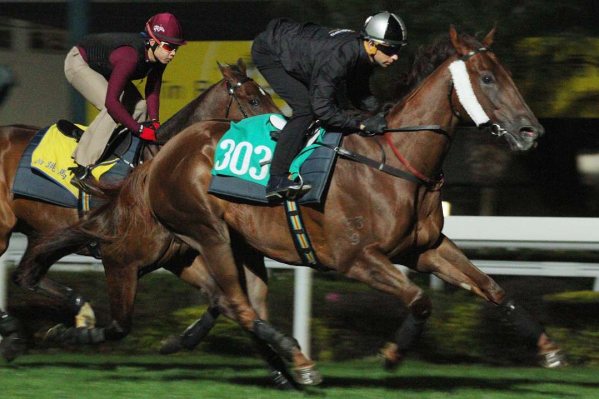 Joao Moreira gallops Able Friend at trackwork last week. Photos: Kenneth Chan