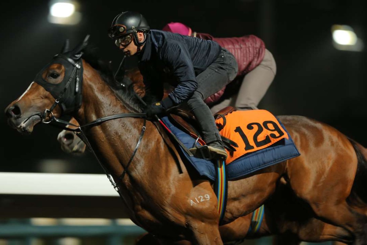 Alexis Badel gallops Helene Charisma at trackwork. Photos: Kenneth Chan
