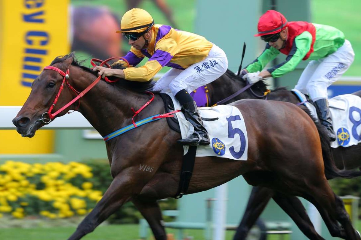 Joao Moreira guides Big Bang Bong to victory at Sha Tin. Photos: Kenneth Chan
